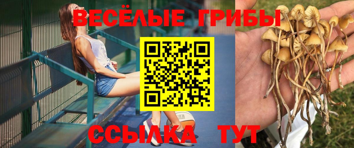 Псилоцибиновые грибы мухоморы Елец