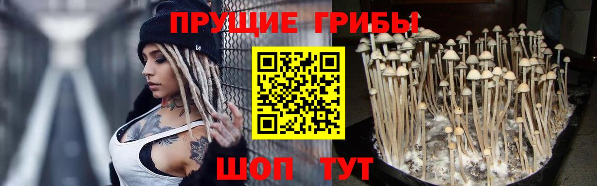 Псилоцибиновые грибы ЛСД  Вход с VPN  Елец 